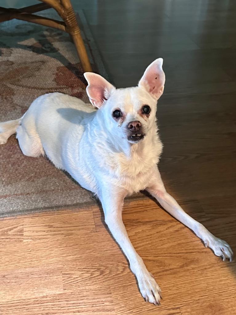 Jake — thumbnail 3