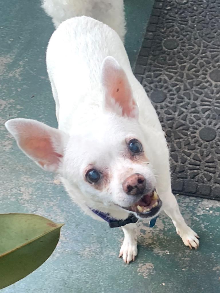 Jake — thumbnail 4