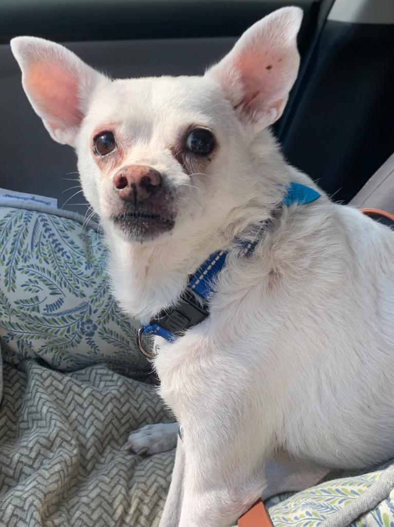 Jake — thumbnail 5