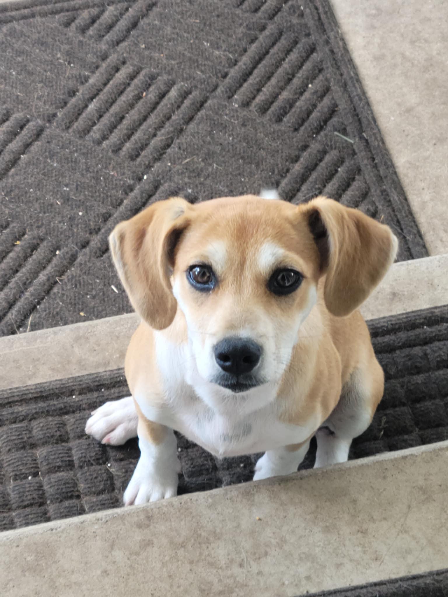 Nelly