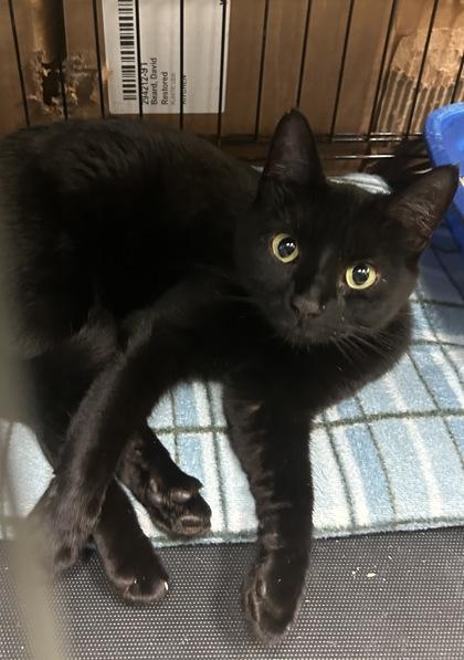 Darla — thumbnail 2