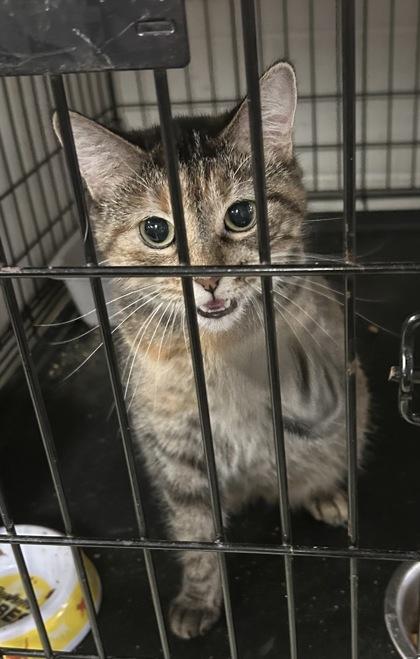 Baby — thumbnail 5