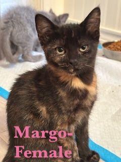 Margo
