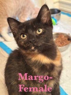 Margo