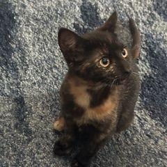 Margo