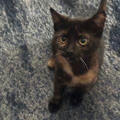 Margo