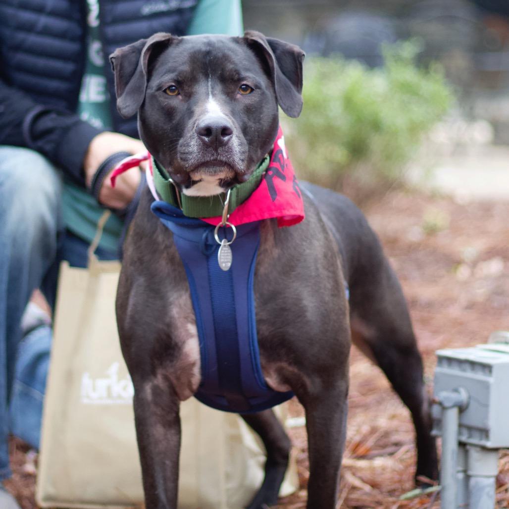 Nova 21062 — thumbnail 2