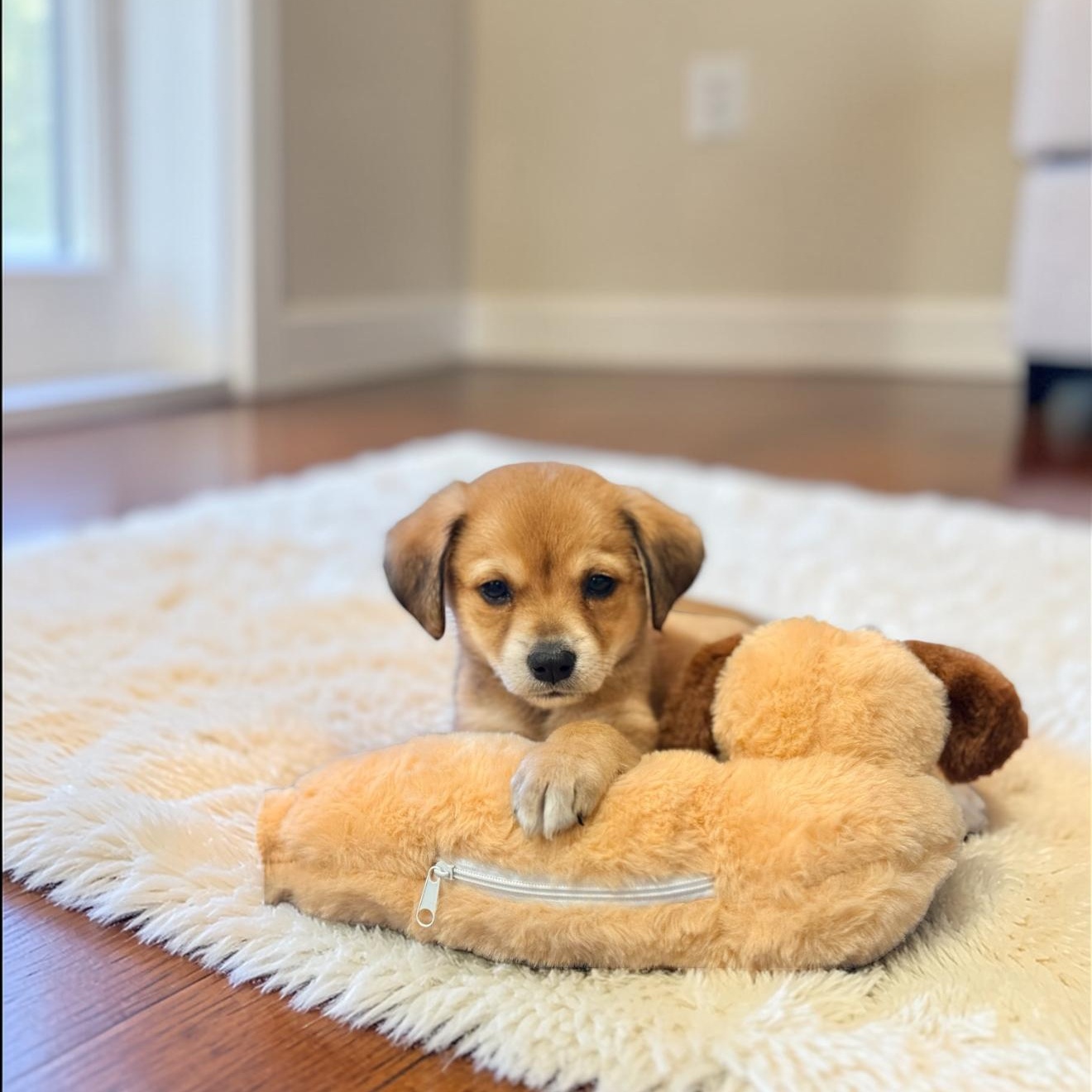 Star — thumbnail 4