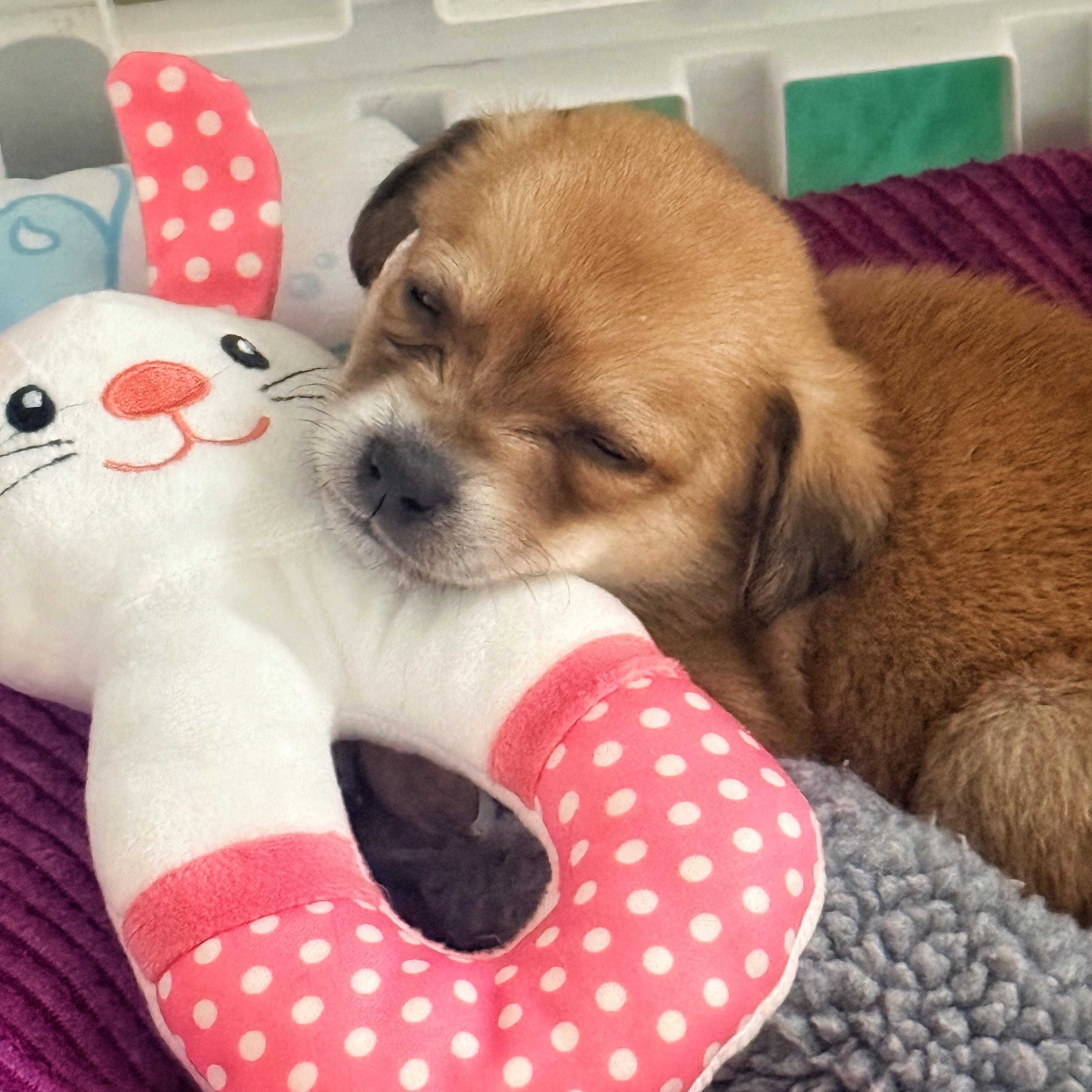 Star — thumbnail 5