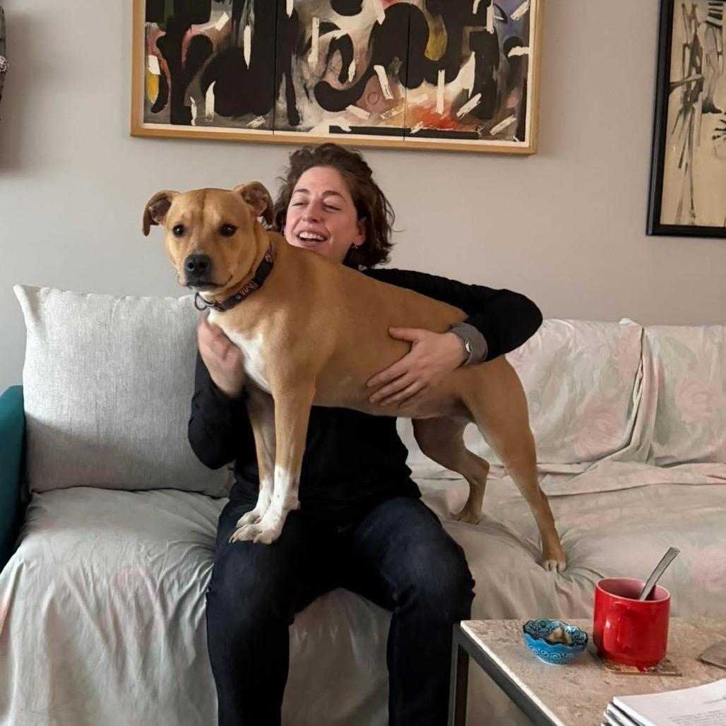 Birdie, a Adoptable mixed breed in Chicago, IL image 2/6