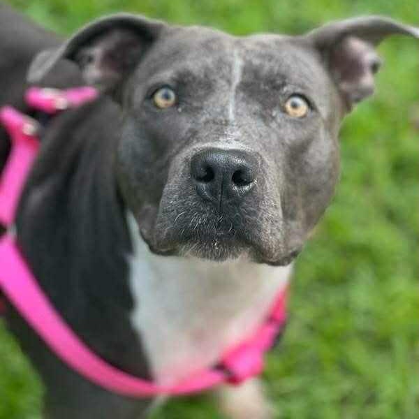 Denver — thumbnail 2