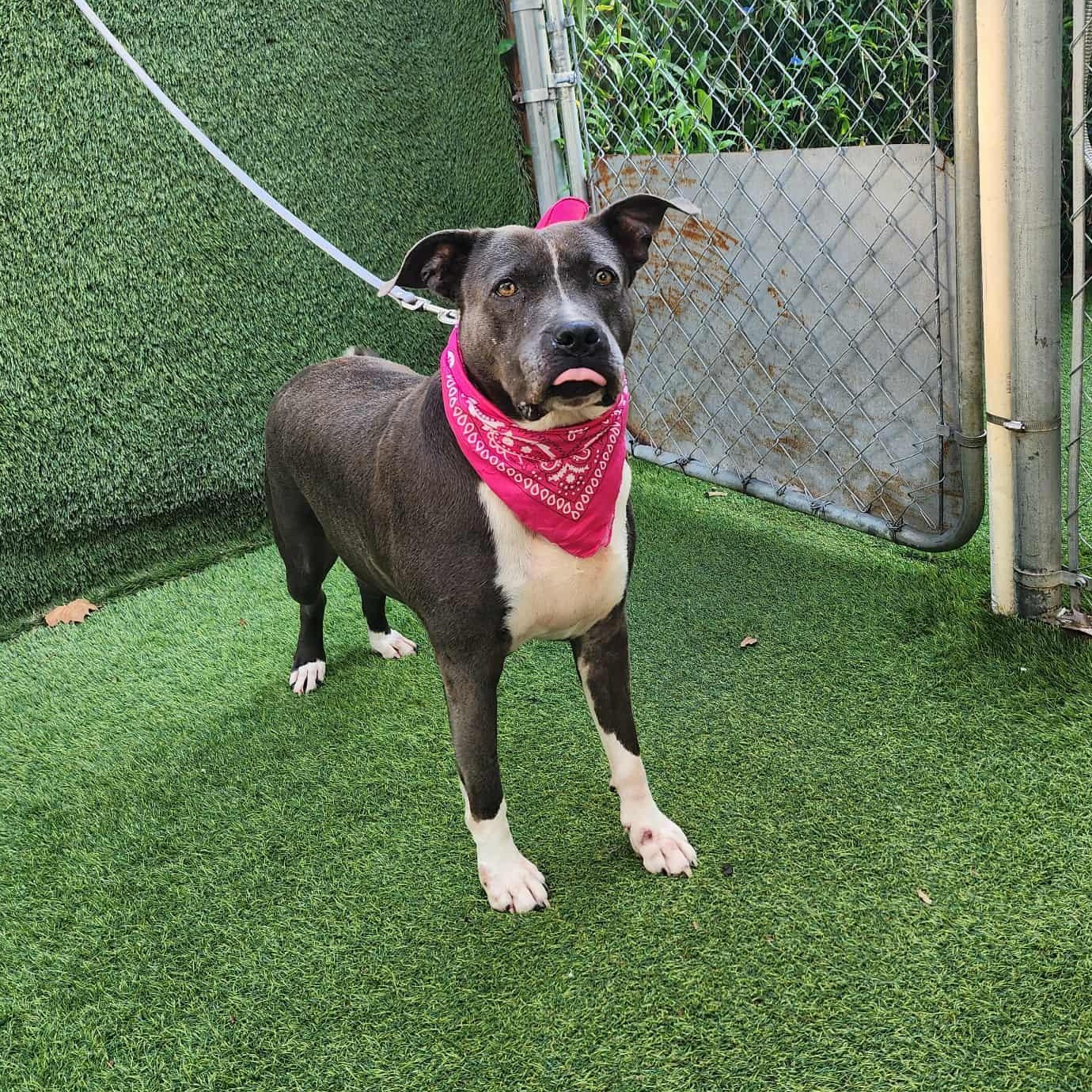 Denver — thumbnail 5