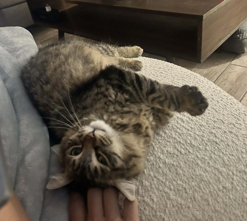 Luciana — thumbnail 3