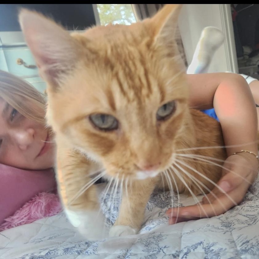 Jack - friends with Scout