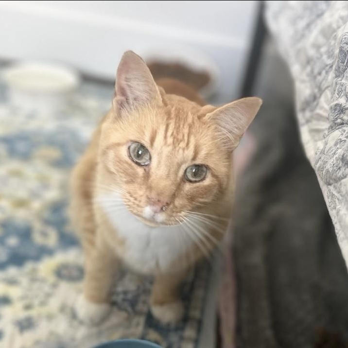 Jack - friends with Scout