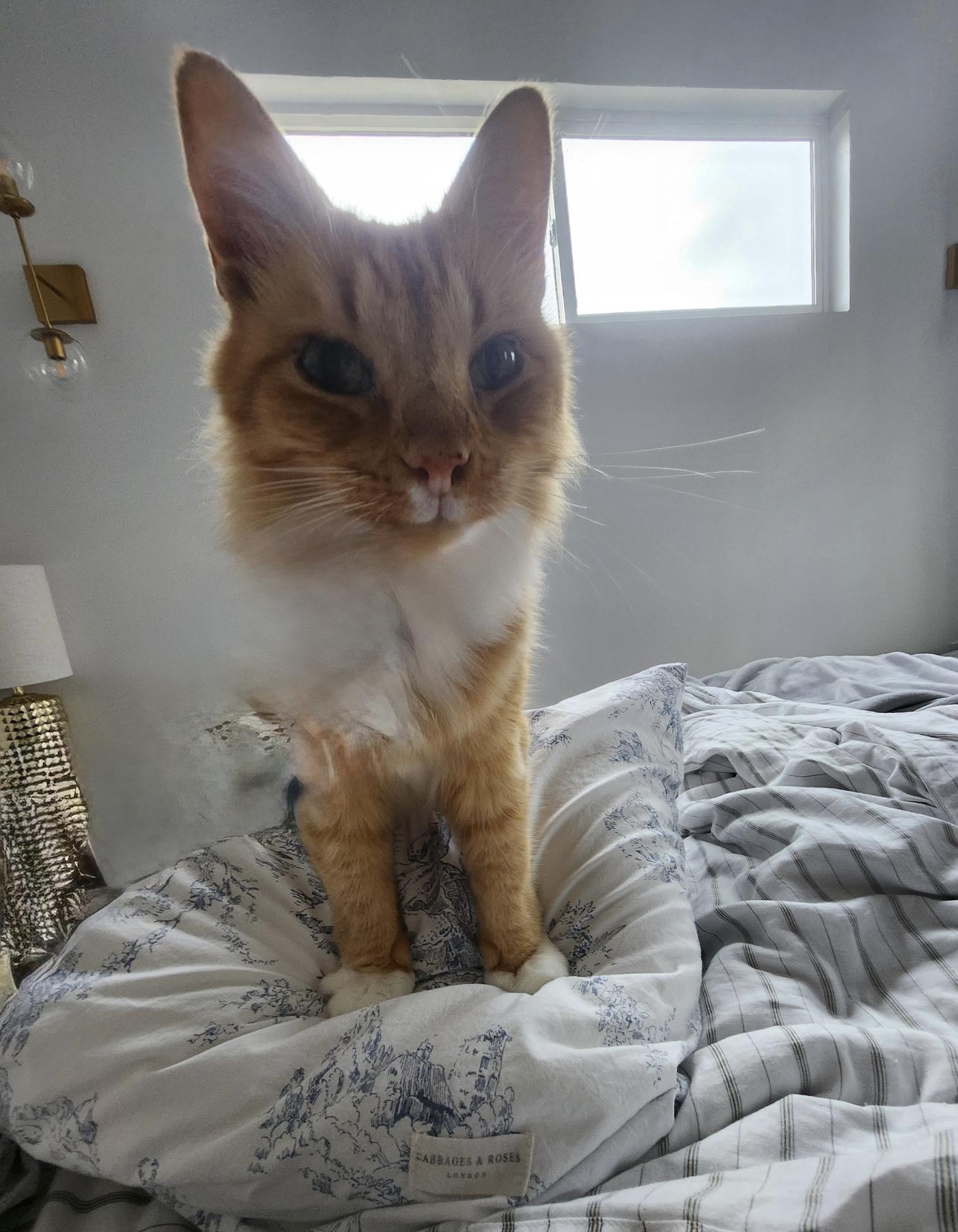 Jack - friends with Scout