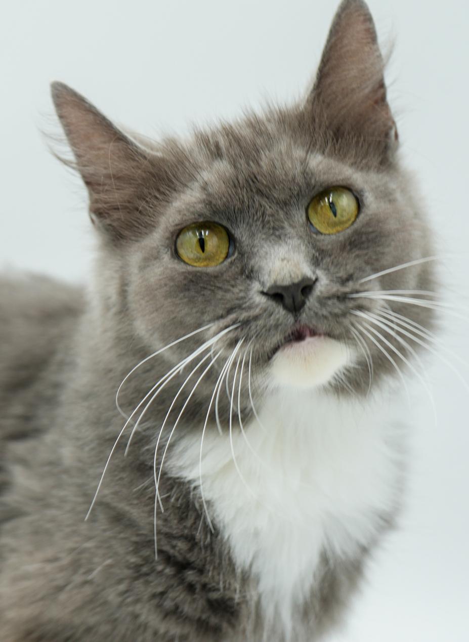 Angel Is Our Unbelievable thumbnail 5