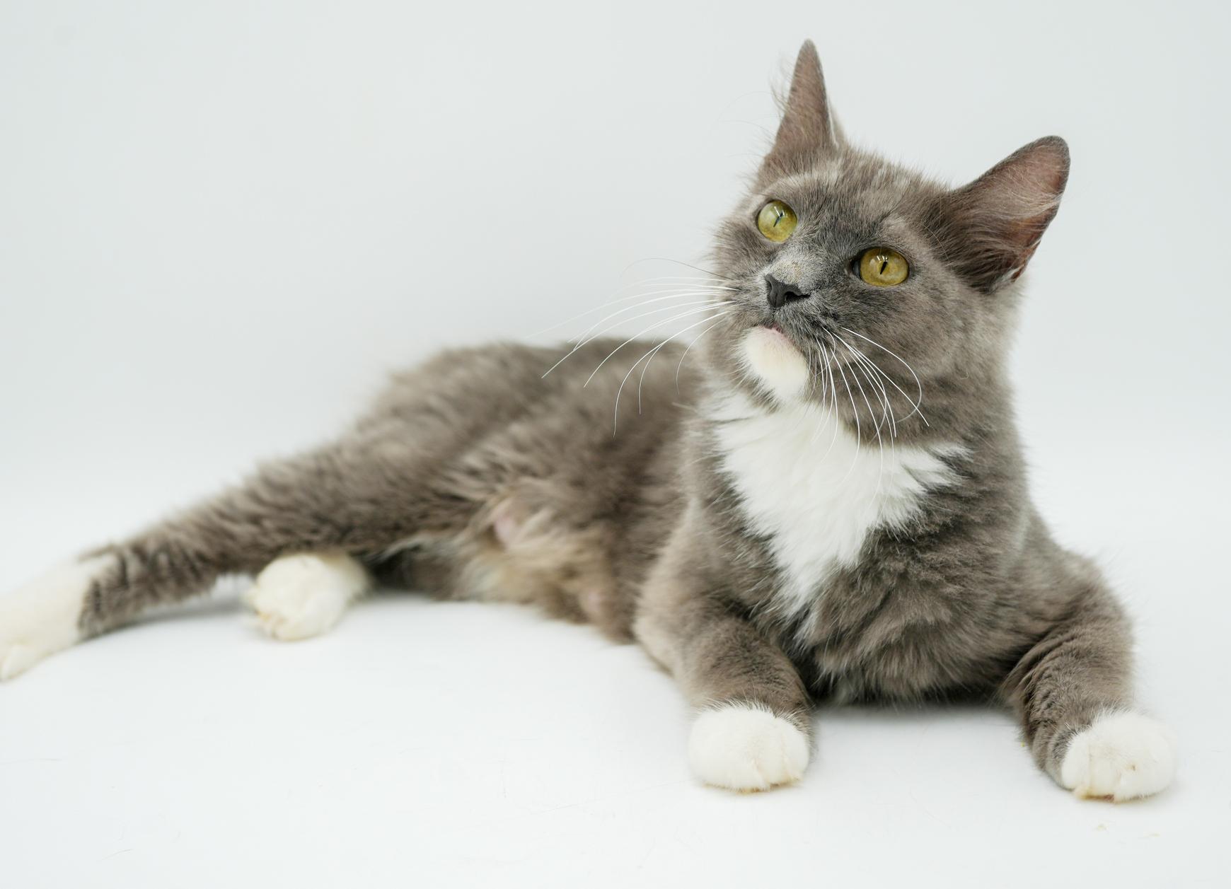 Angel Is Our Unbelievable thumbnail 2