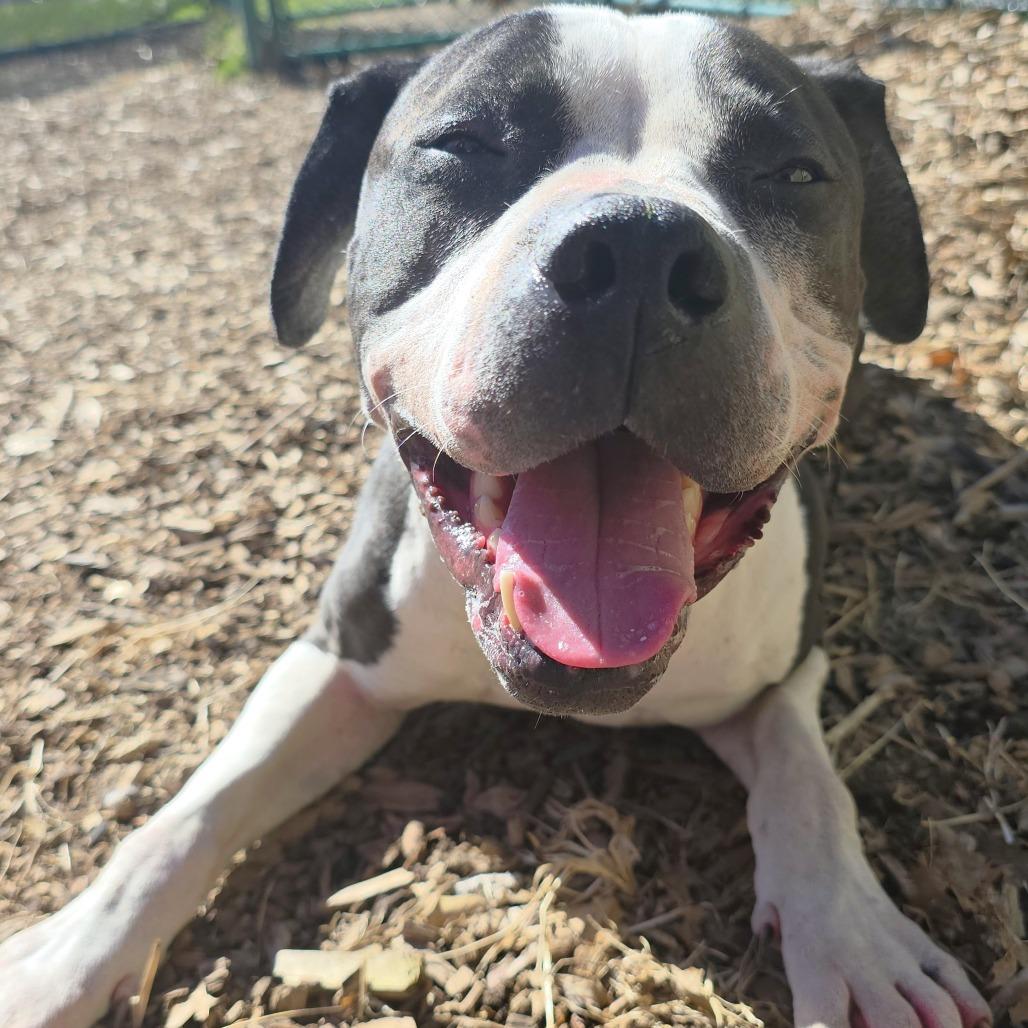 Flower — thumbnail 2