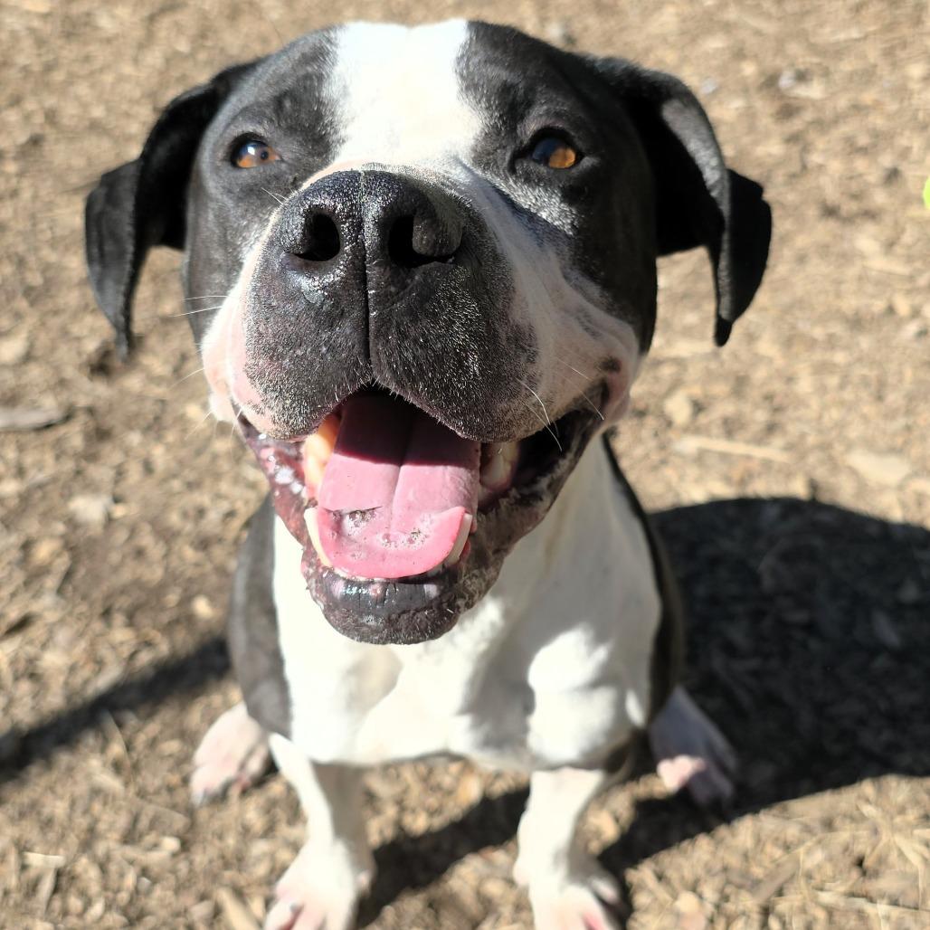 Flower — thumbnail 3