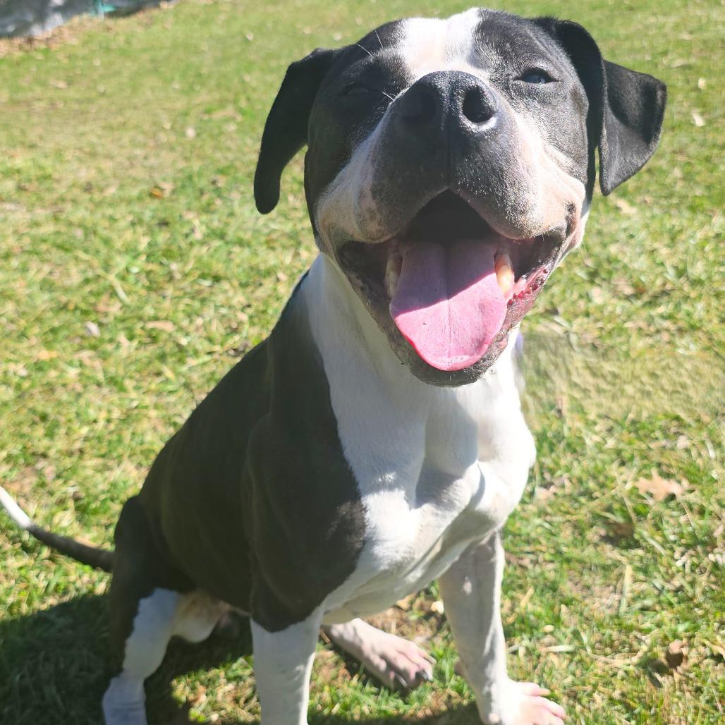 Flower — thumbnail 4