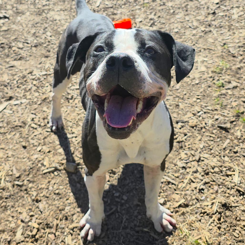 Flower — thumbnail 5