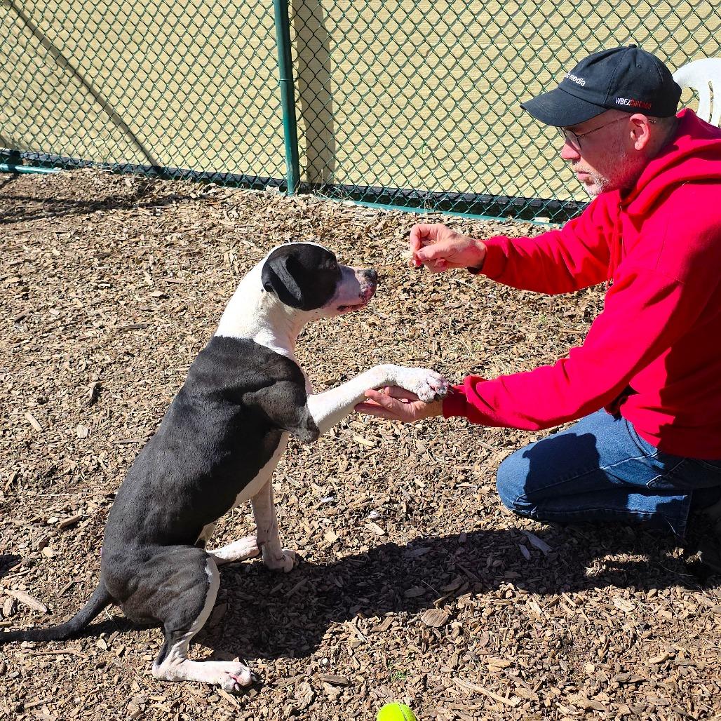 Flower — thumbnail 6