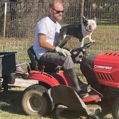 Enlarge Mason, a Adoptable French Bulldog in Dallas, TX image 4/4