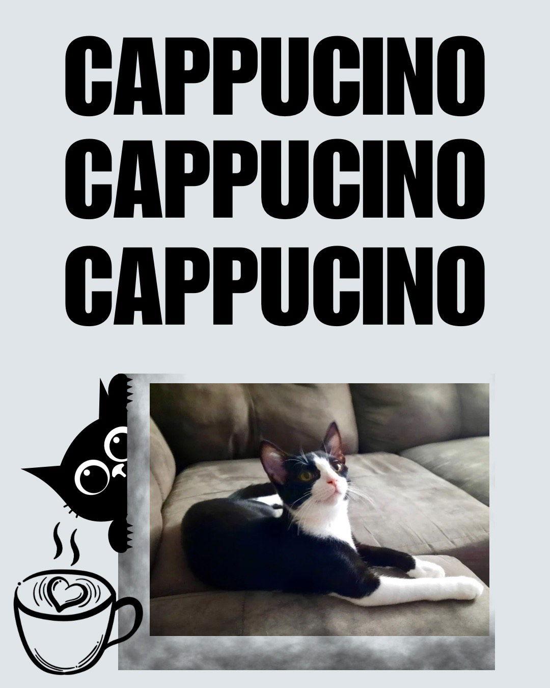 Cappuccino thumbnail 4