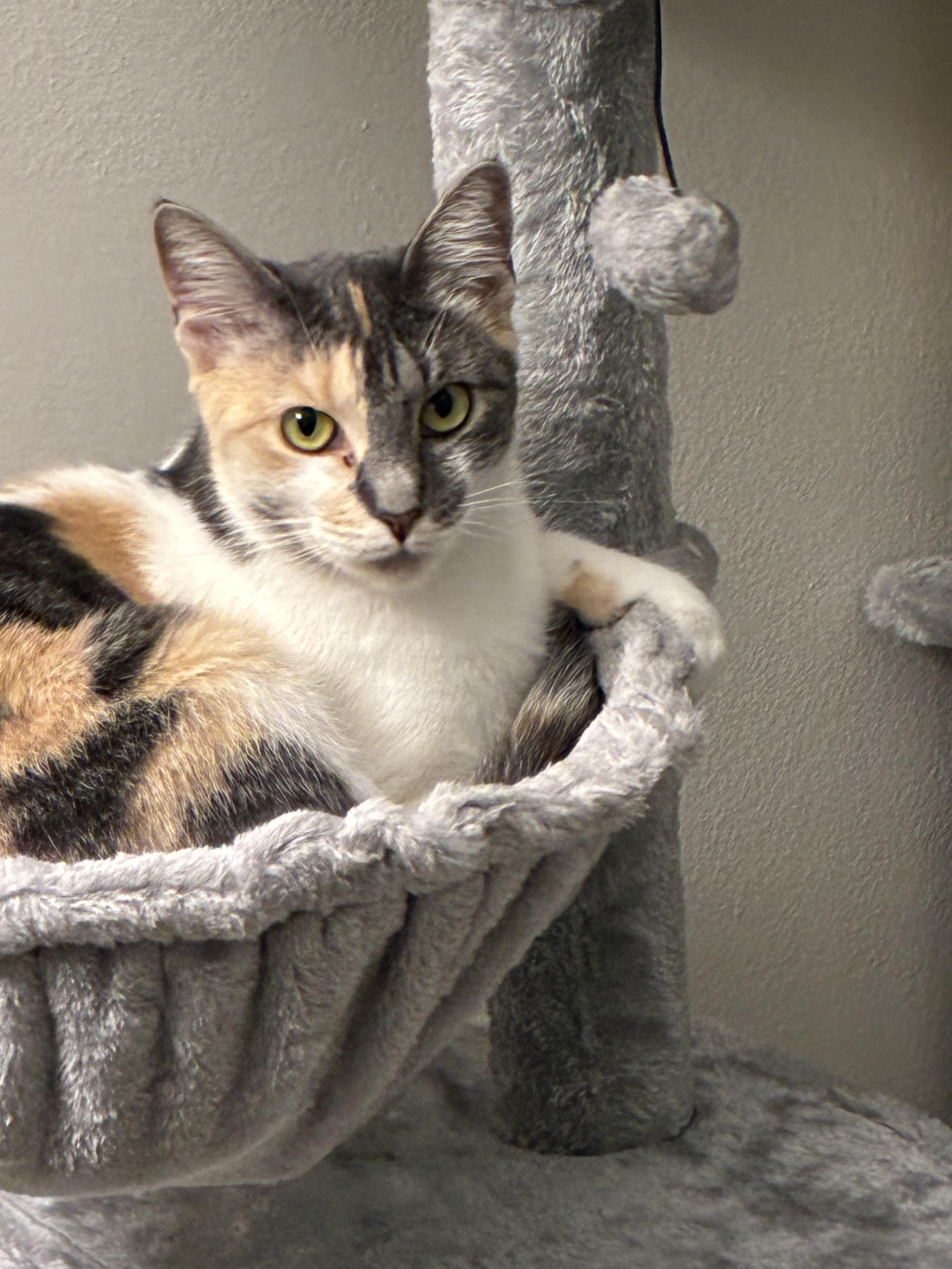 Marvel — thumbnail 2