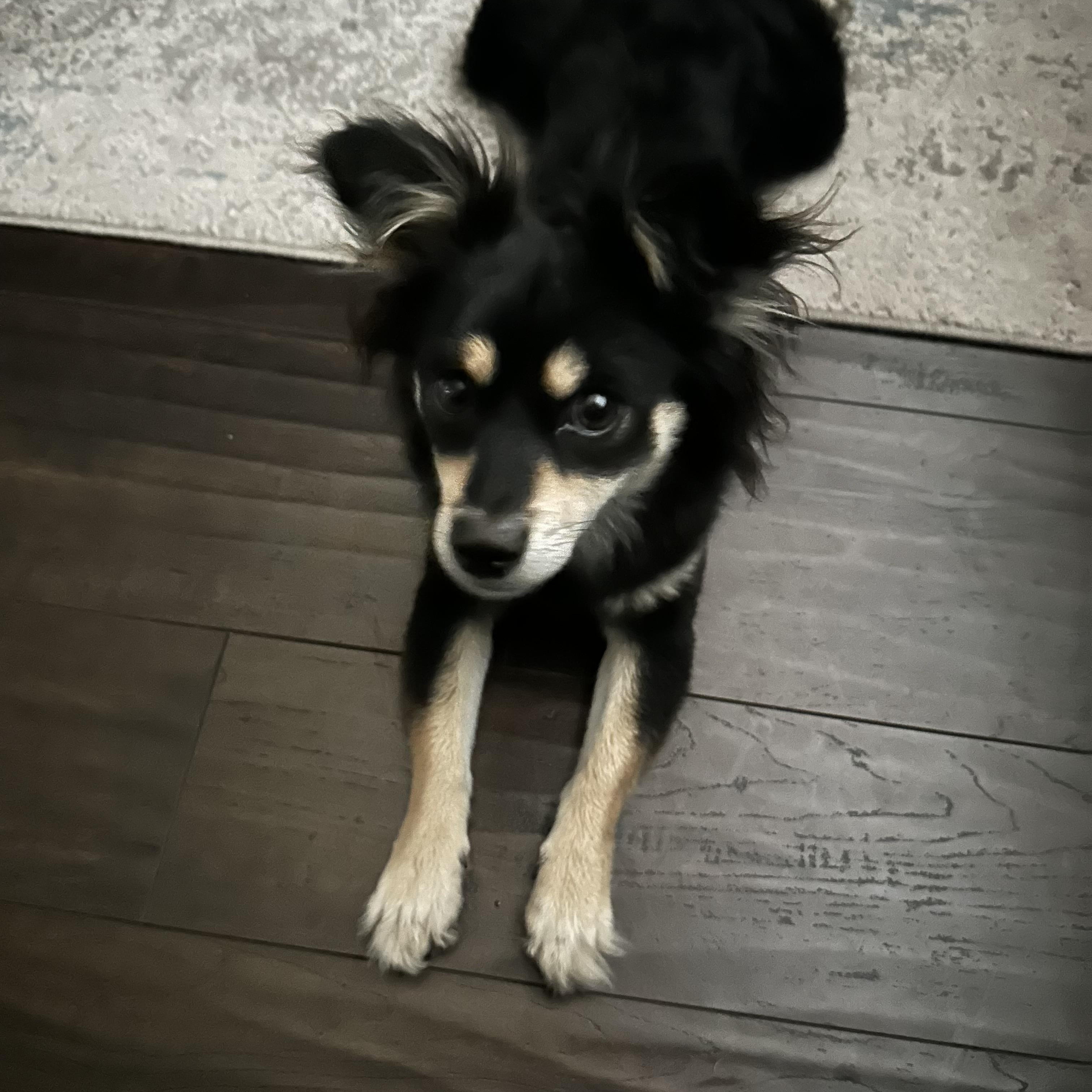 Lucy Lu photo 4
