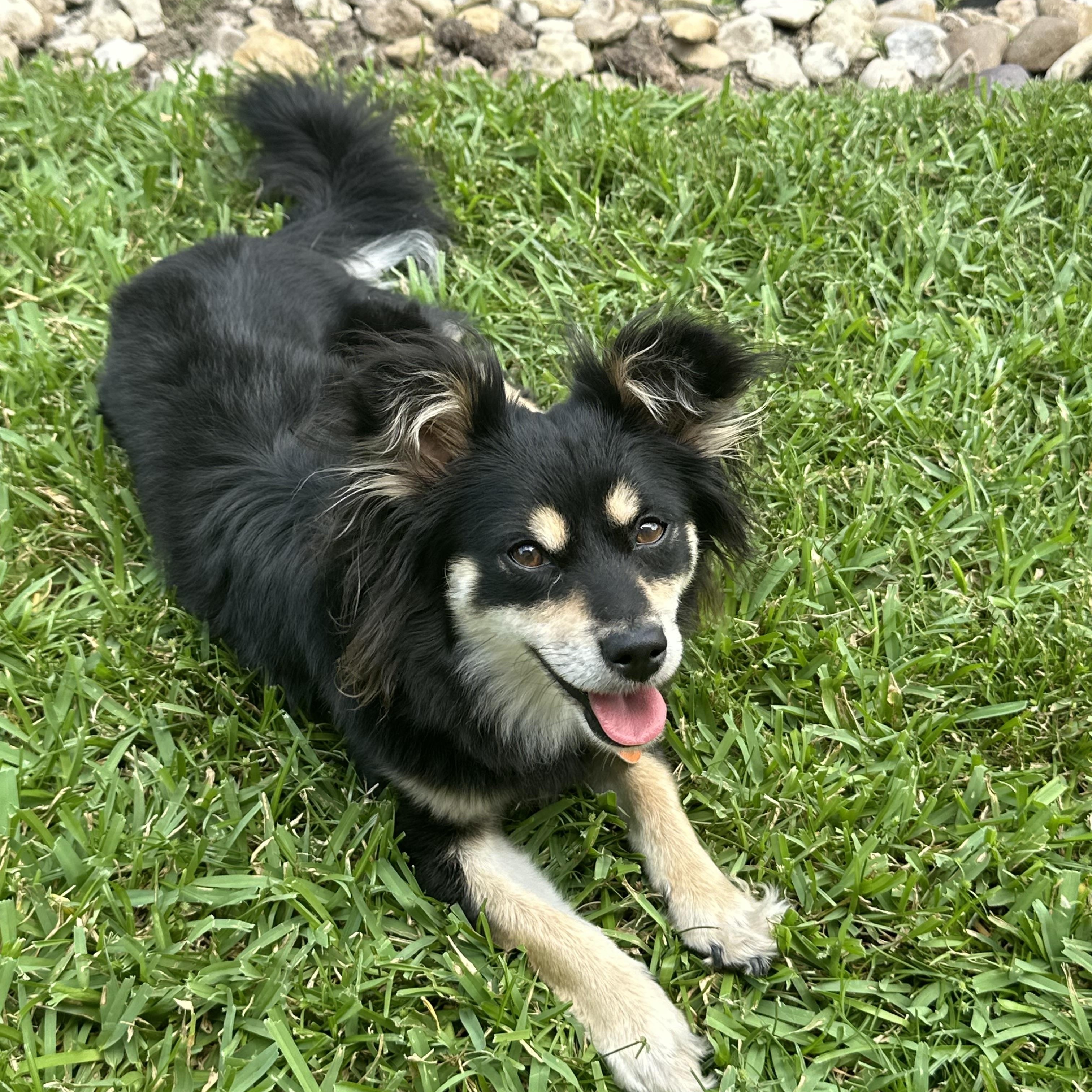 Lucy Lu photo 2