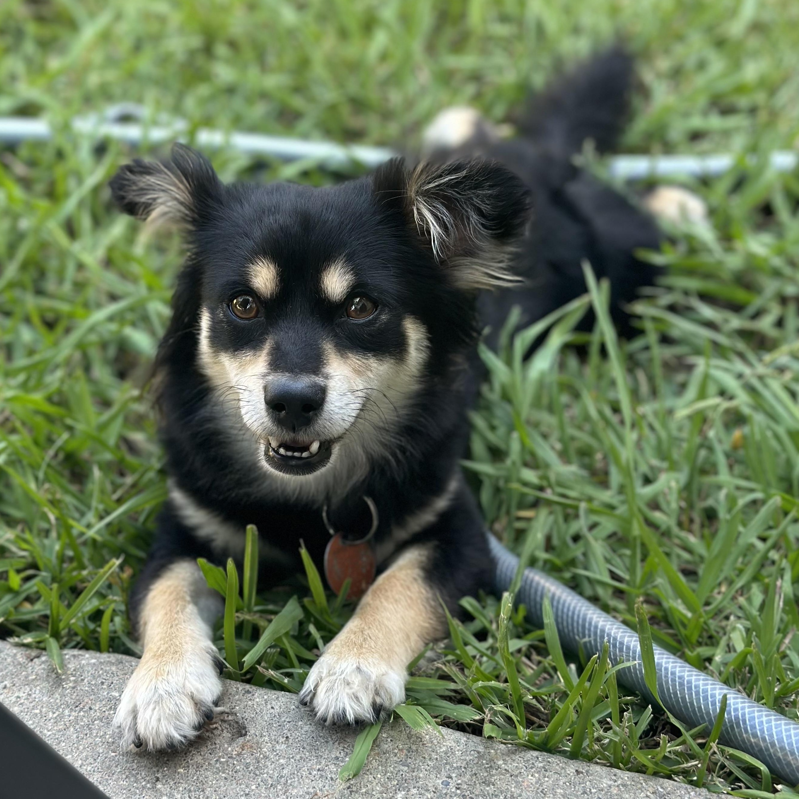 Lucy Lu photo 5