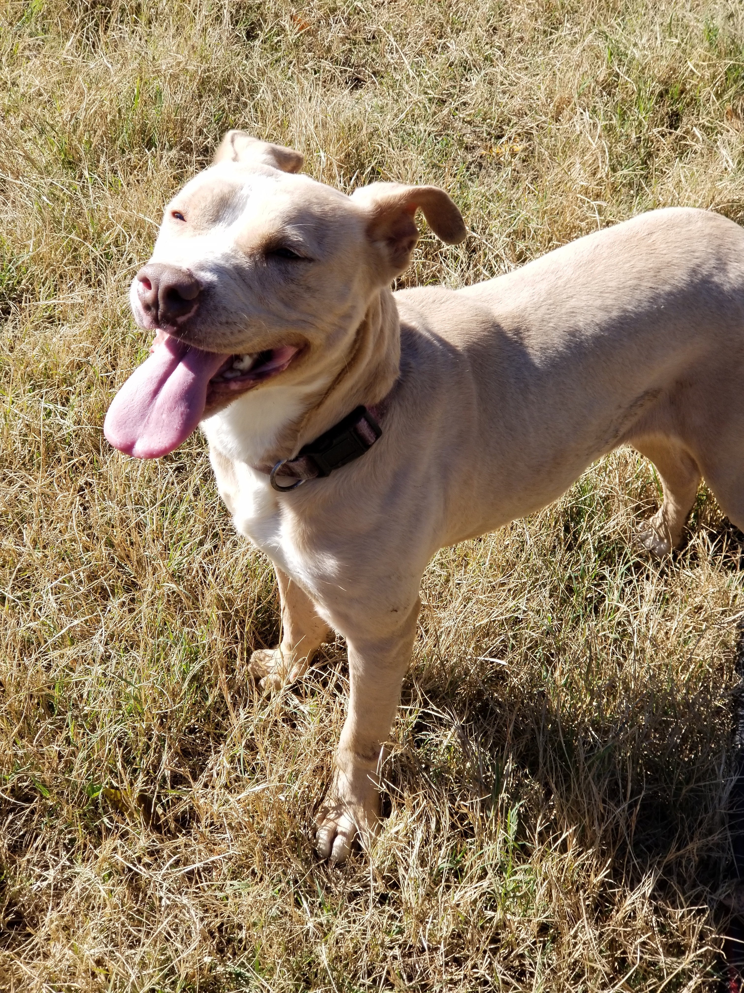 Shiloh photo 5