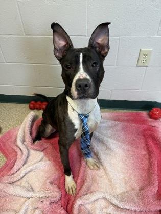 Kaleb — thumbnail 2