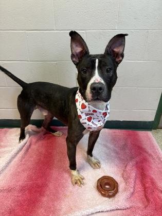 Kaleb — thumbnail 3