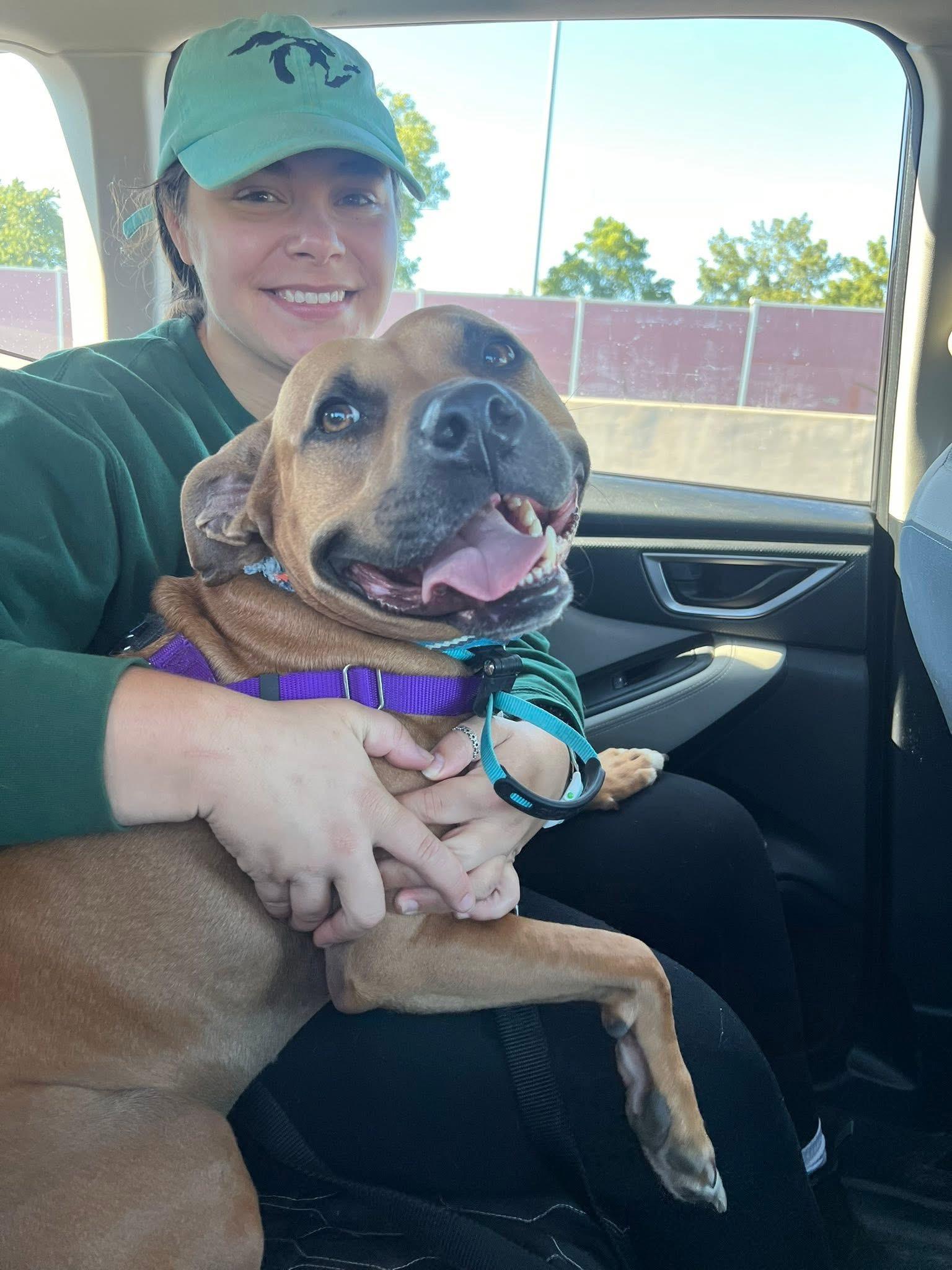 Byron, a Adoptable mixed breed in Cleveland, OH image 1/6