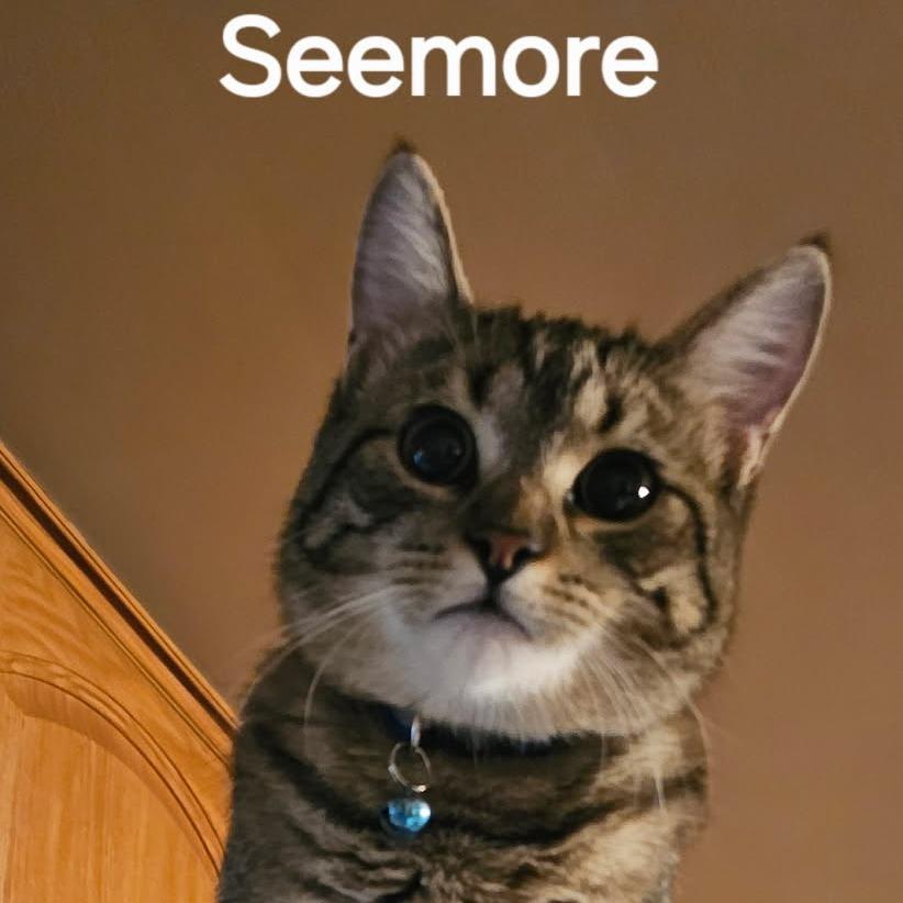 Seemore — thumbnail 2