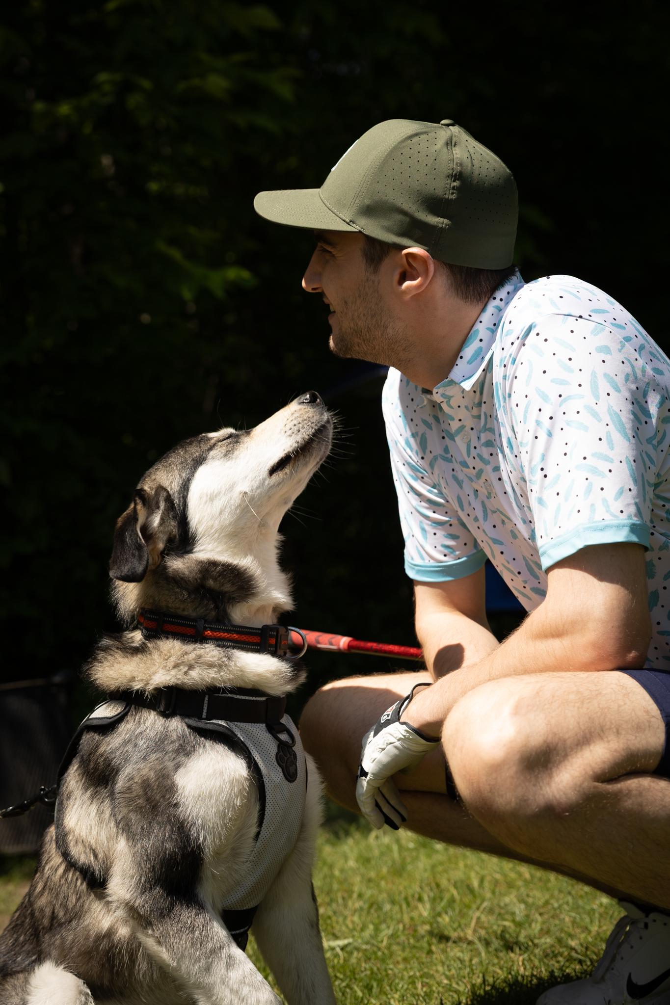 Zorro, an adoptable Husky in Hawkestone, ON, L0L 1T0 | Photo Image 2