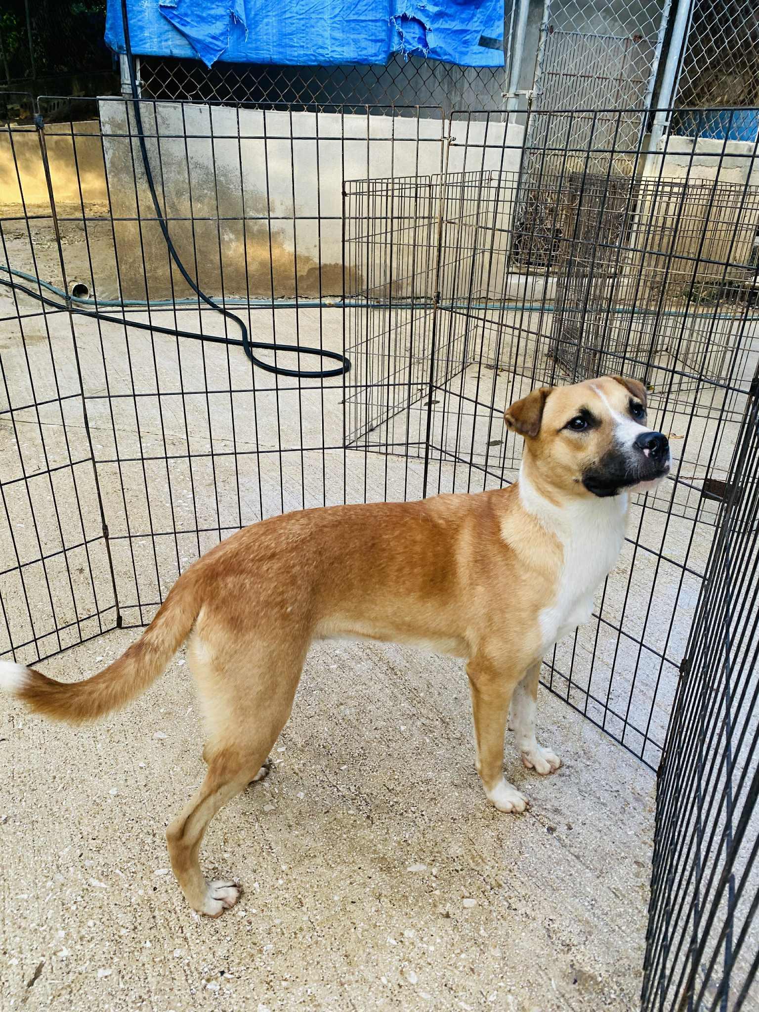 Clementine thumbnail 2