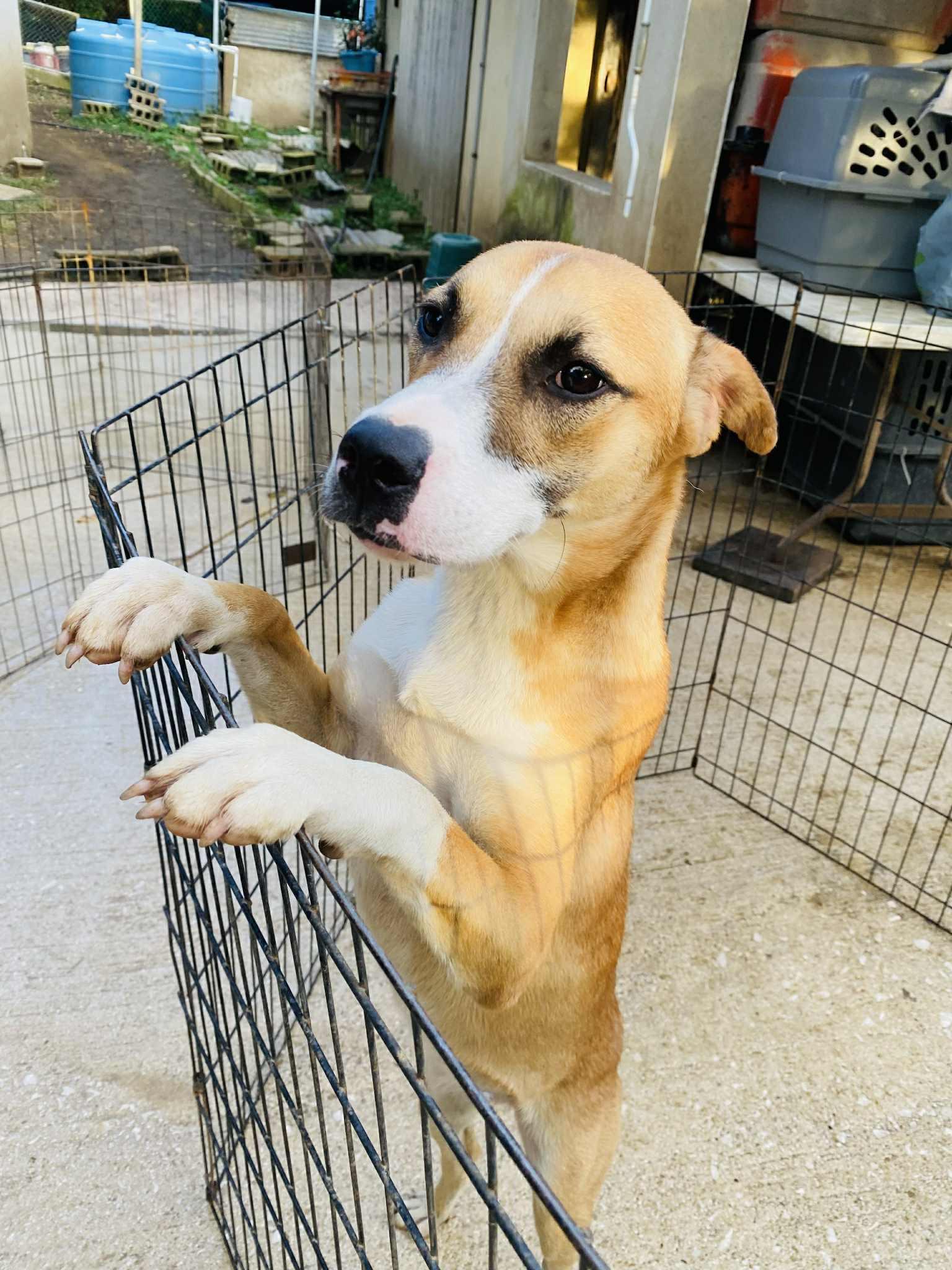 Clementine thumbnail 3