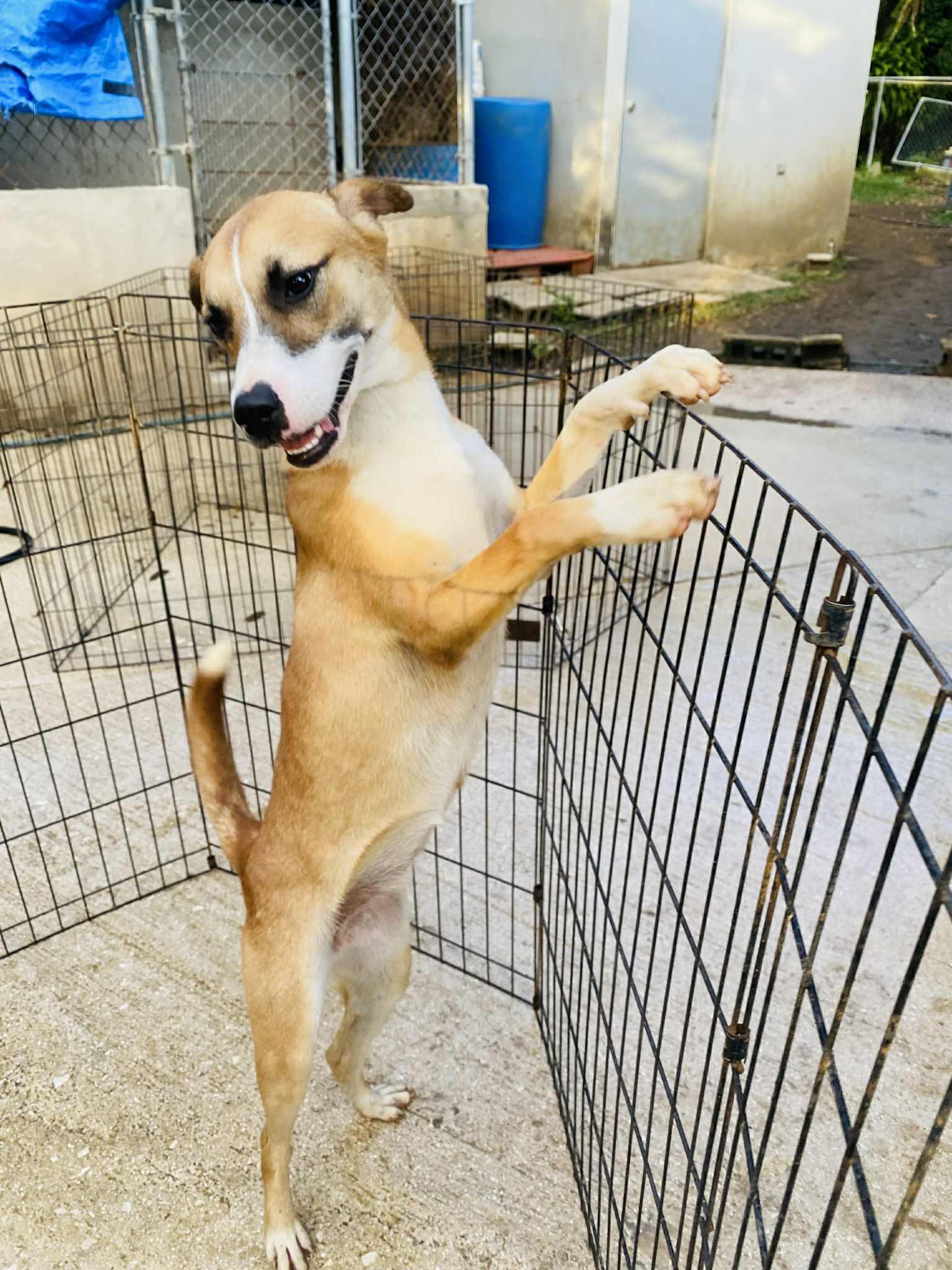 Clementine thumbnail 5