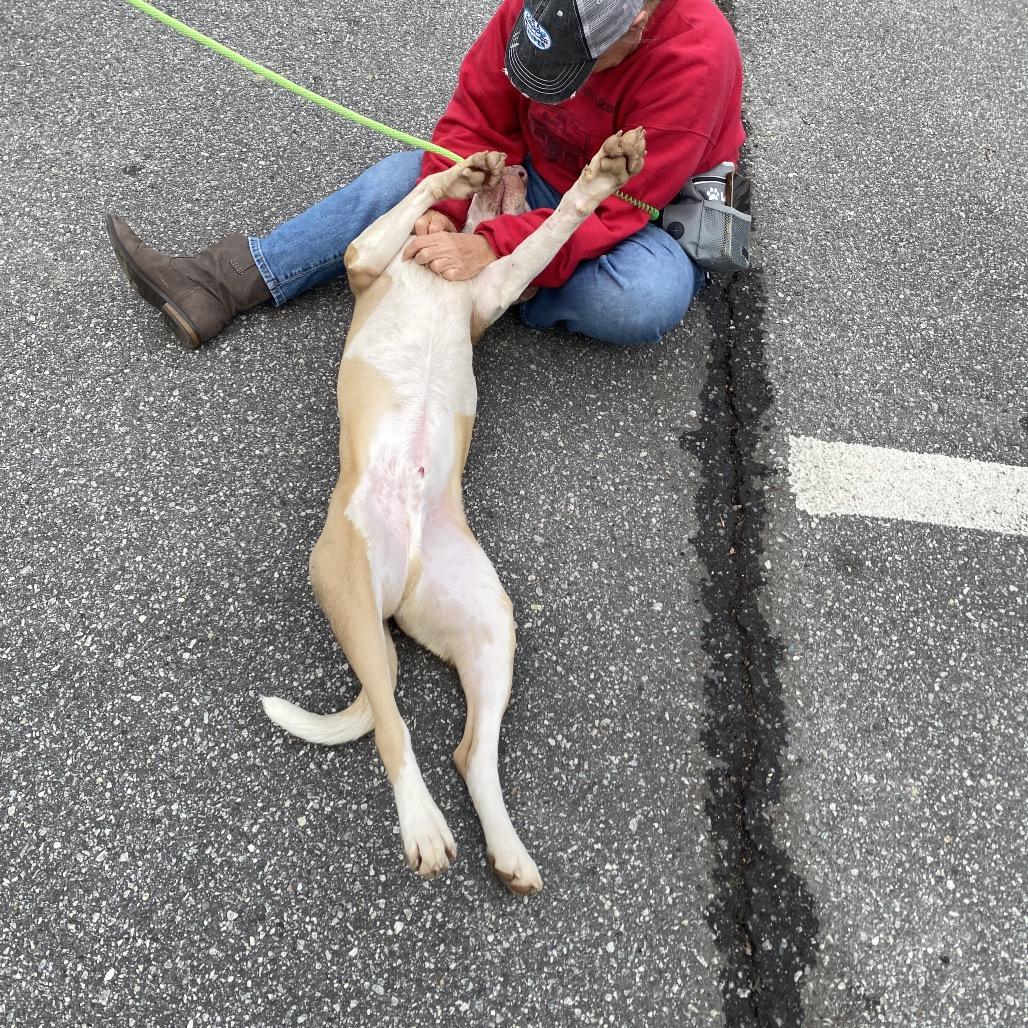 Vex 6375 — thumbnail 5