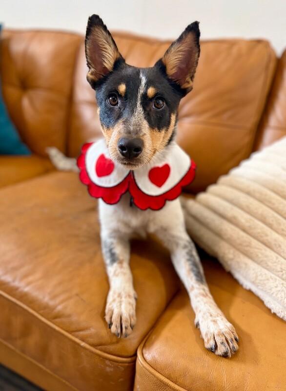 River Welcome Wiggle — thumbnail 5