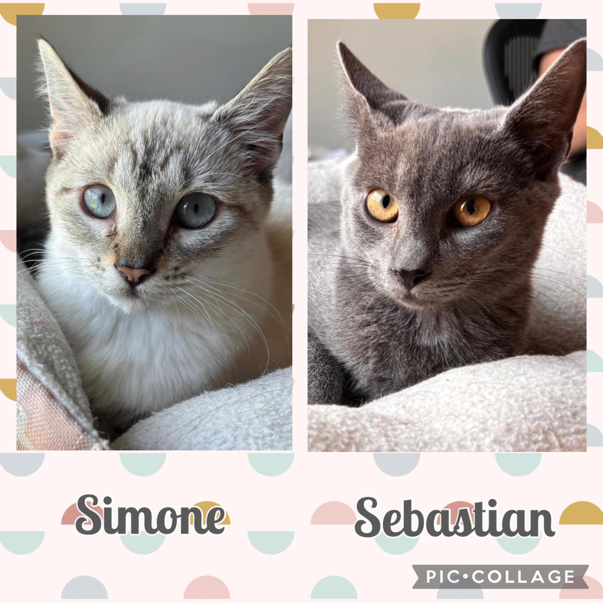 Simone & Sebastian
