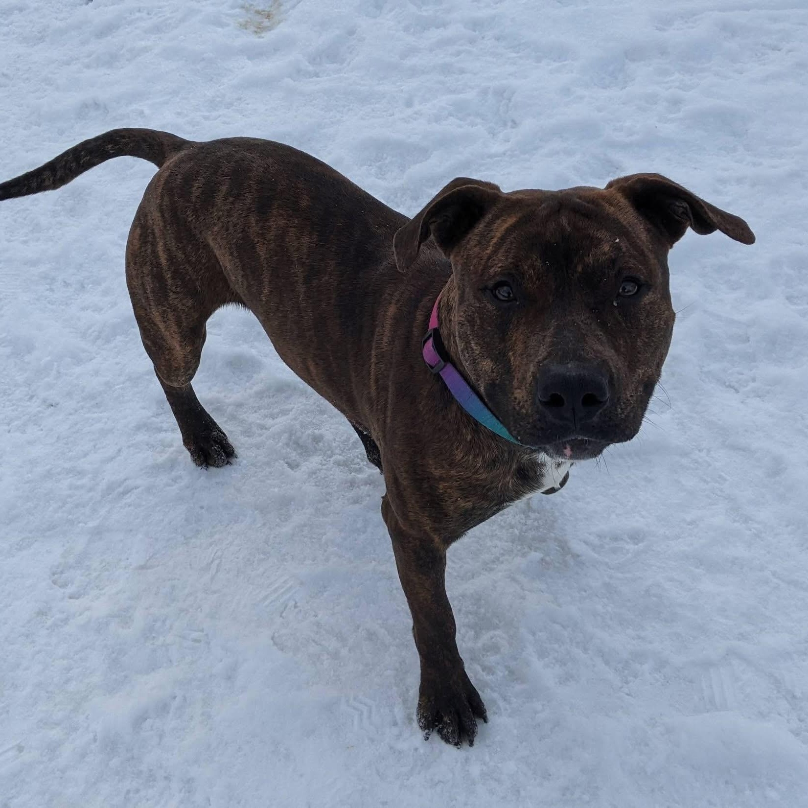 Fernando — thumbnail 4