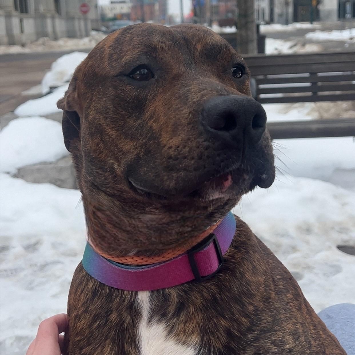 Fernando — thumbnail 5