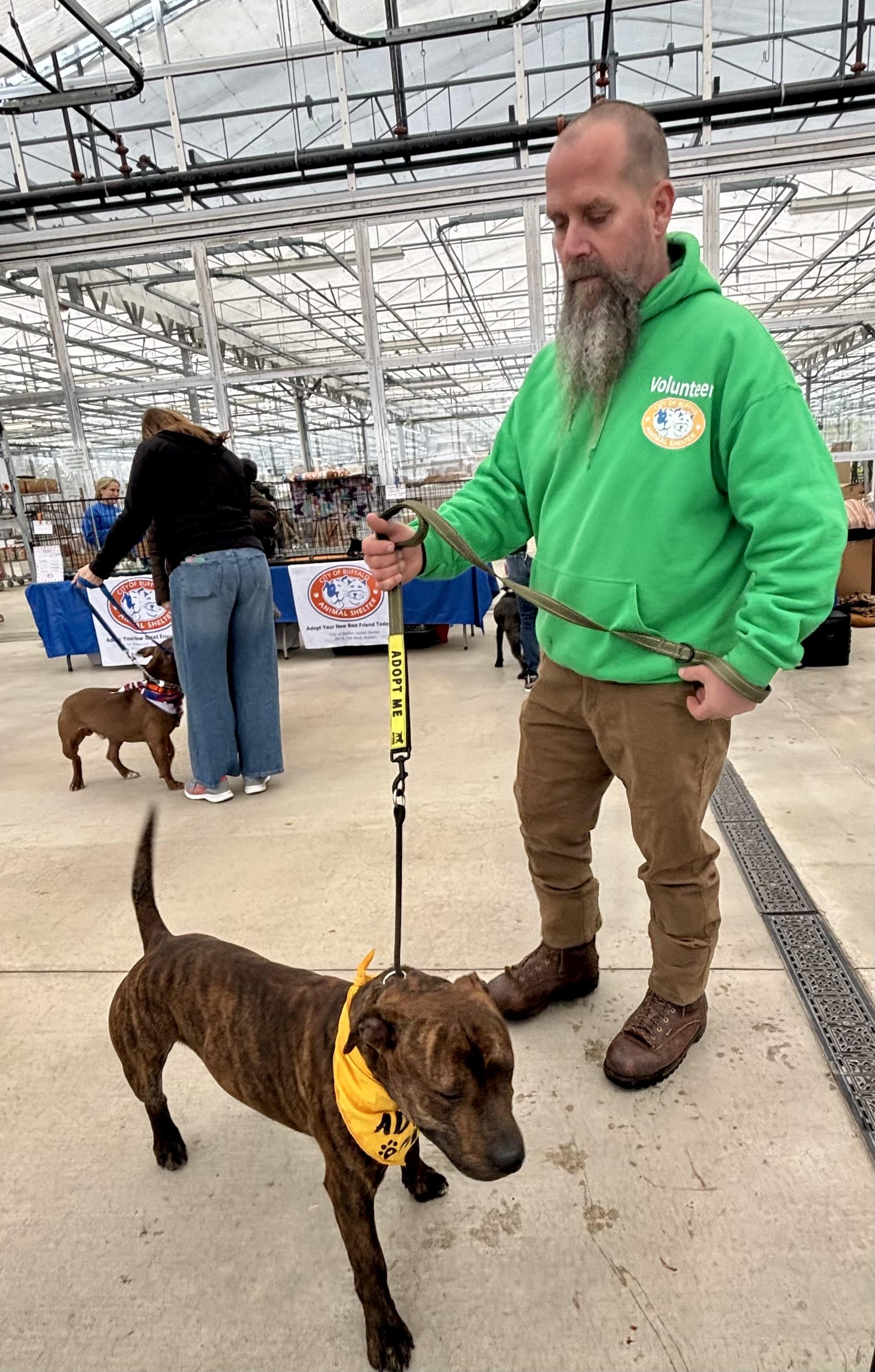 Fernando — thumbnail 6