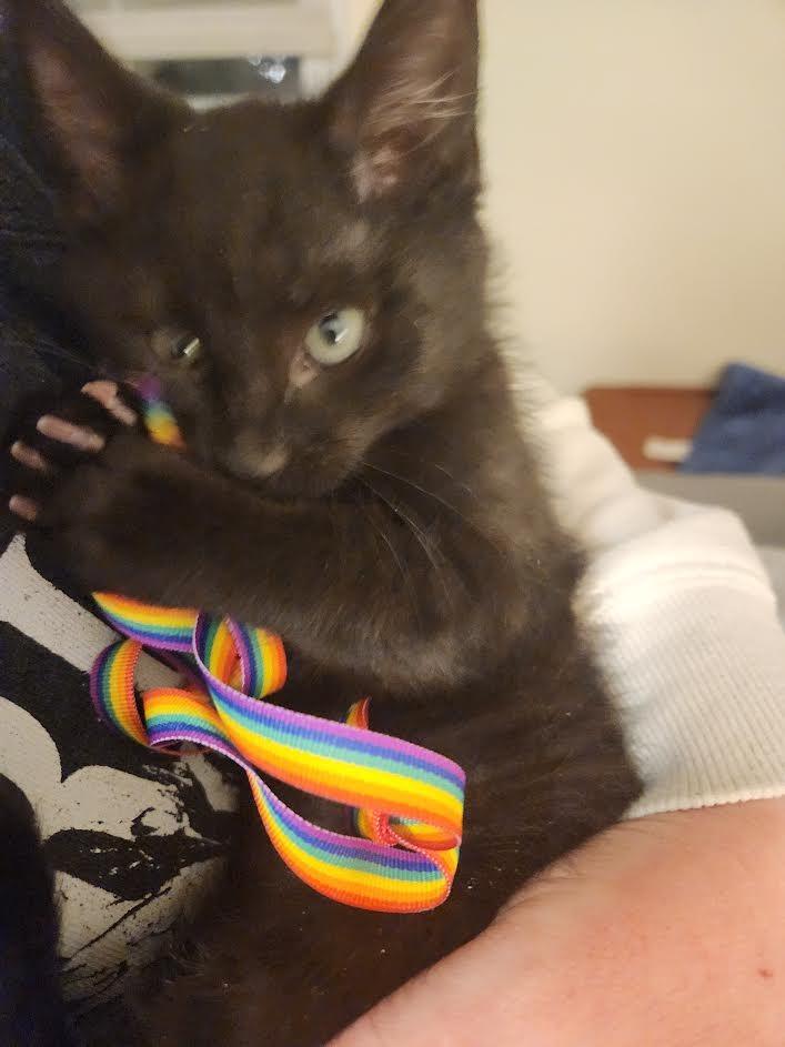 Snowball Fight thumbnail 3