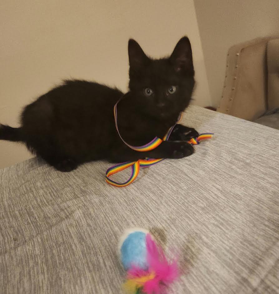 Snowball Fight thumbnail 5